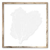 30 x 30" Classic Sea Fan - WJC Design