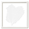20 x 20" Classic Sea Fan - WJC Design