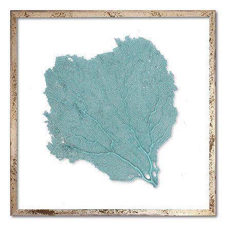 24 x 24" Classic Sea Fan - WJC Design