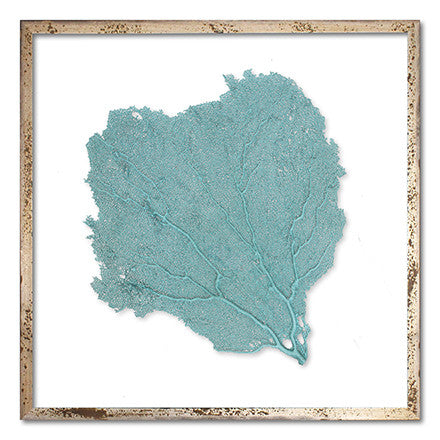 24 x 24" Classic Sea Fan - WJC Design