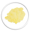 Classic Sea Fan in Round Frame - WJC Design