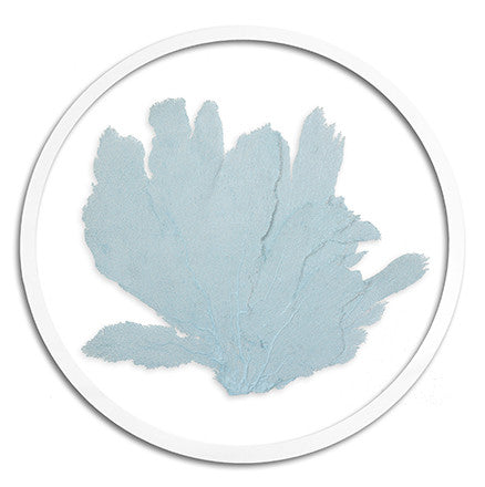 Classic Sea Fan in Round Frame - WJC Design