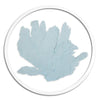Classic Sea Fan in Round Frame - WJC Design