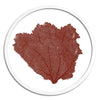 Classic Sea Fan in Round Frame - WJC Design