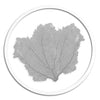 Classic Sea Fan in Round Frame - WJC Design