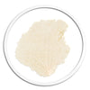 Classic Sea Fan in Round Frame - WJC Design