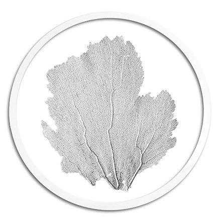 Classic Sea Fan in Round Frame - WJC Design