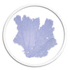 Classic Sea Fan in Round Frame - WJC Design