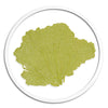 Classic Sea Fan in Round Frame - WJC Design