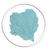 Classic Sea Fan in Round Frame - WJC Design