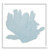 37 x 37" Classic Sea Fan - WJC Design