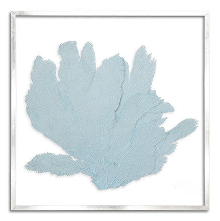 37 x 37" Classic Sea Fan - WJC Design