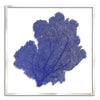 37 x 37" Classic Sea Fan - WJC Design