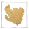37 x 37" Classic Sea Fan - WJC Design