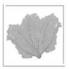 37 x 37" Classic Sea Fan - WJC Design