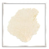 37 x 37" Classic Sea Fan - WJC Design