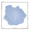 37 x 37" Classic Sea Fan - WJC Design