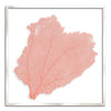 37 x 37" Classic Sea Fan - WJC Design