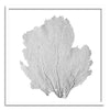 37 x 37" Classic Sea Fan - WJC Design