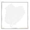 37 x 37" Classic Sea Fan - WJC Design