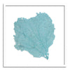 37 x 37" Classic Sea Fan - WJC Design