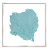 37 x 37" Classic Sea Fan - WJC Design
