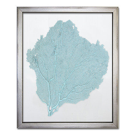 Teal Sea Fan on White - WJC Design