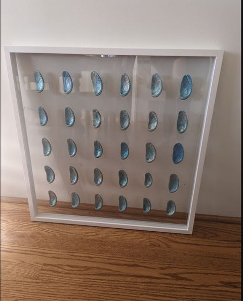 Teal Abalone Shells