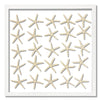 25 Skinny Starfish - WJC Design