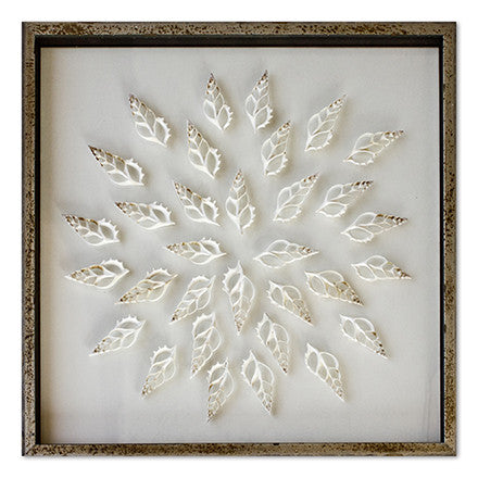 Sliced Tibia Shells - WJC Design