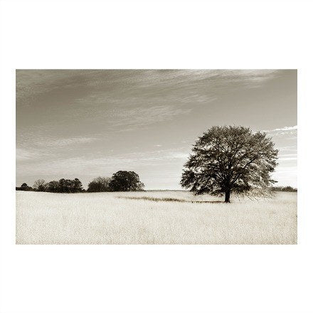 Sepia Landscape Series - WJC Design