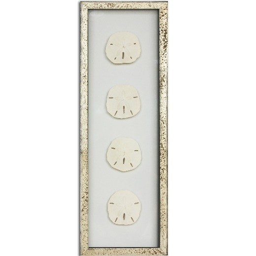 9 x 24" Sand Dollars - WJC Design
