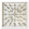 Sliced Cerithium Shells - WJC Design