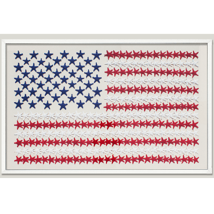 Starfish Flag - WJC Design