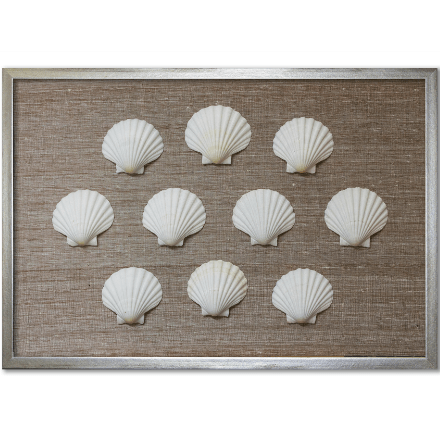 White Scallops on Brown Silk - WJC Design