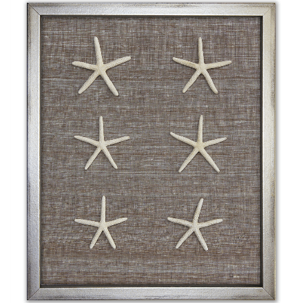 Skinny Starfish on Brown Silk - WJC Design