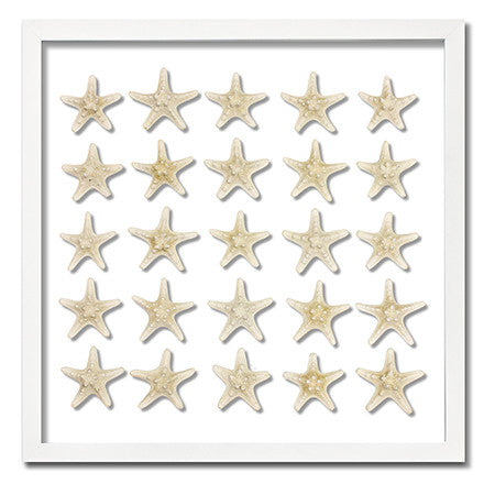 25 Knobby Starfish - WJC Design