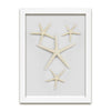 9 x 12 Starfish and Sand Dollars - WJC Design