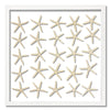 25 Skinny Starfish - WJC Design