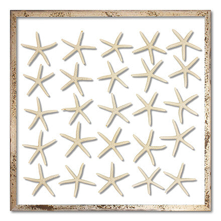 25 Skinny Starfish - WJC Design